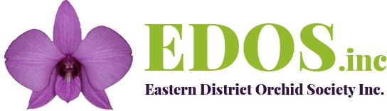 EODS main logo