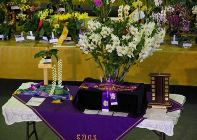 Champion's Table