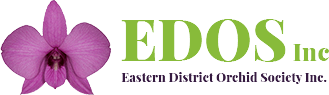 Eastern District Orchid Society Inc.